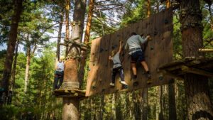 Read more about the article PARK LINOWY – ZACHĘCAMY DO KORZYSTANIA Z DOFINANSOWANIA