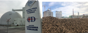 Read more about the article Wycieczka edukacyjna do cukrowni Dobrzelin